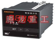 溫度表、數(shù)字顯示儀、濕度表