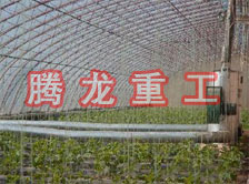 大棚花卉供暖設(shè)備、大棚卉采暖設(shè)備、大棚花卉取暖設(shè)備